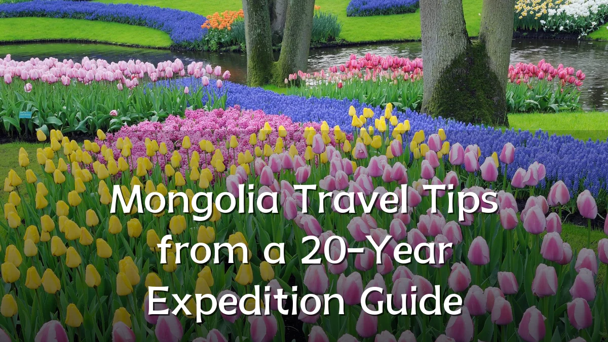 Mongolia Travel Tips from a 20-Year Expedition Guide