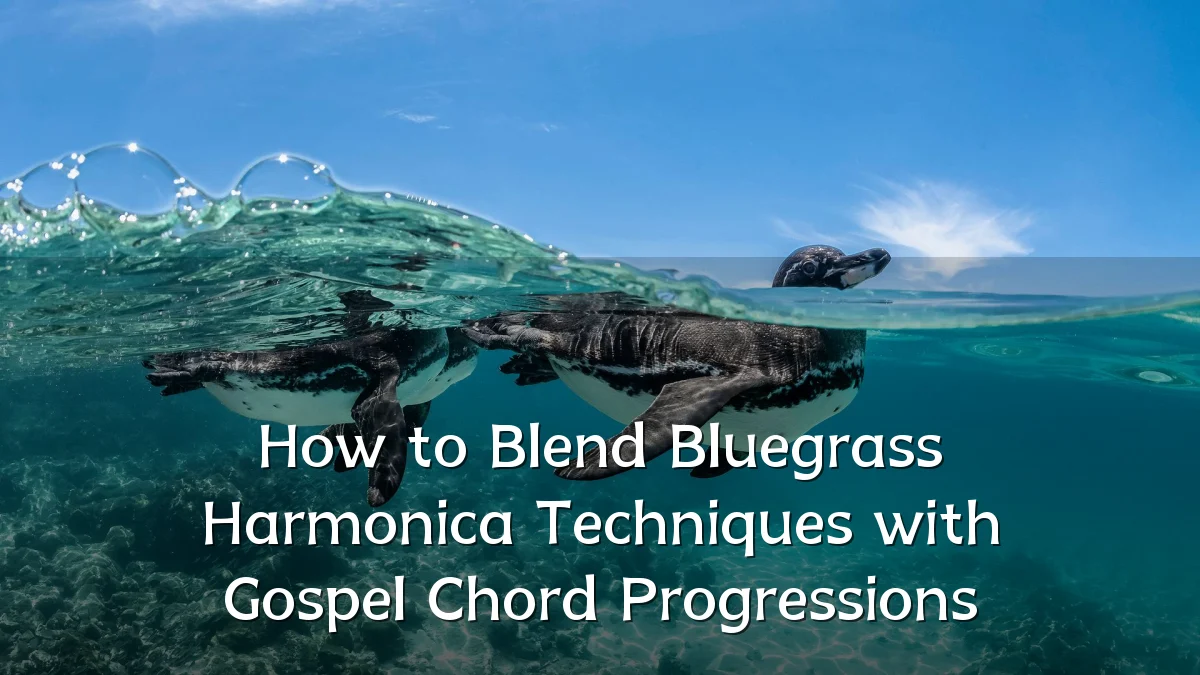 How to Blend Bluegrass Harmonica Techniques with Gospel Chord Progressions