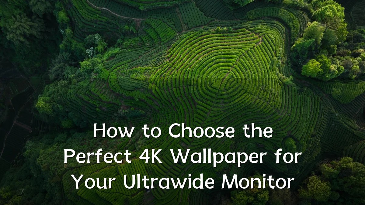 How to Choose the Perfect 4K Wallpaper for Your Ultrawide Monitor