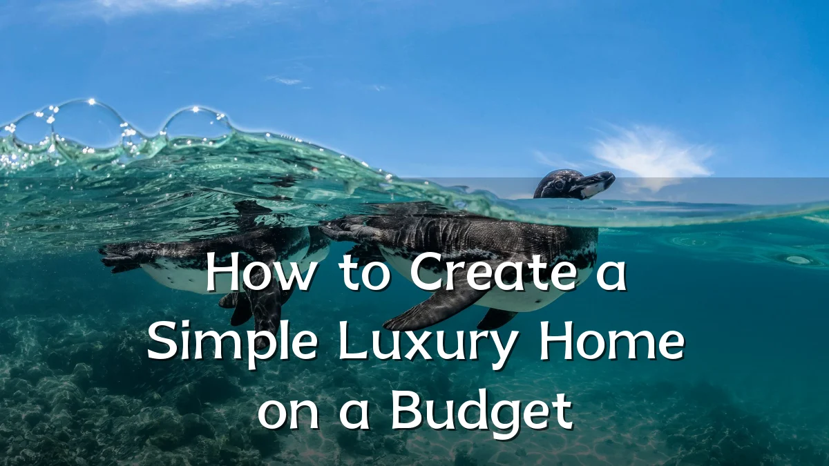 How to Create a Simple Luxury Home on a Budget