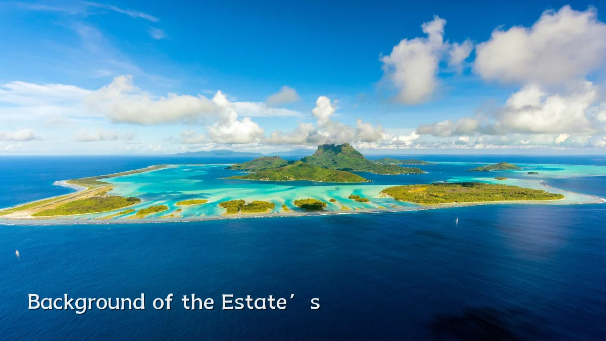 Background of the Estate’s