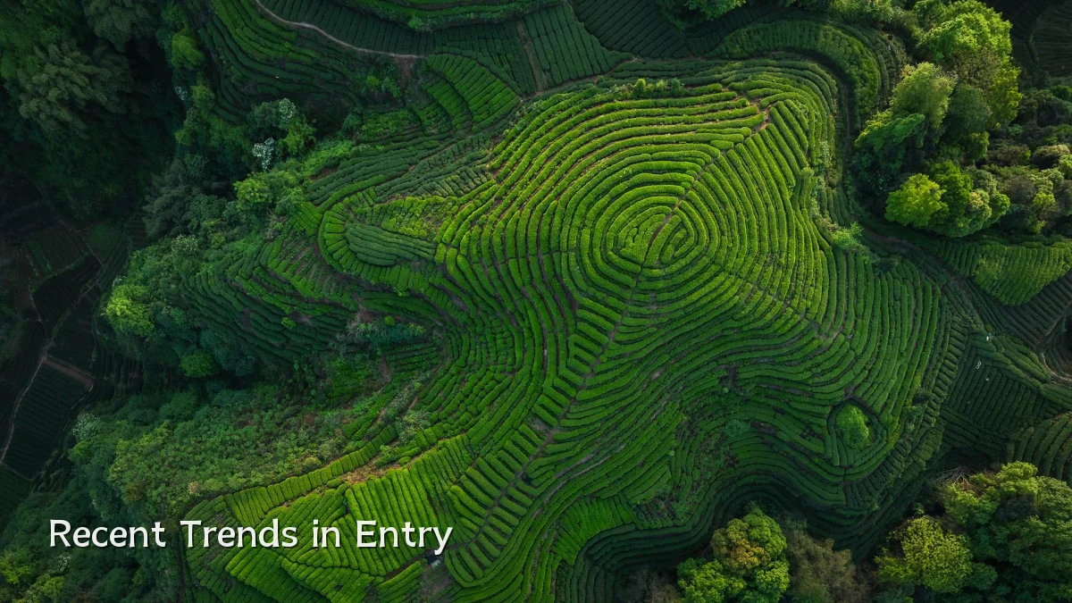 Recent Trends in Entry