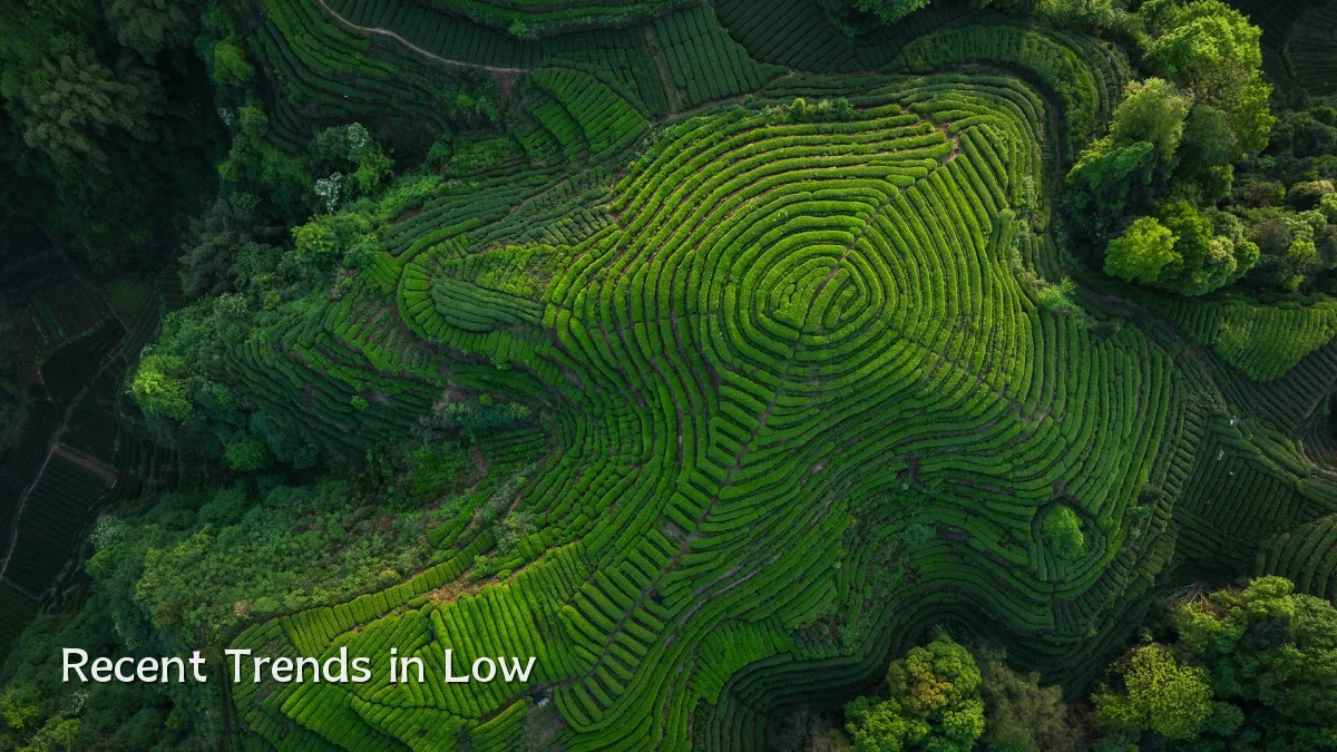 Recent Trends in Low