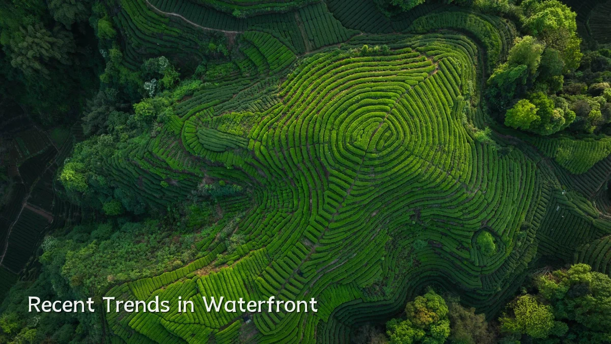 Recent Trends in Waterfront