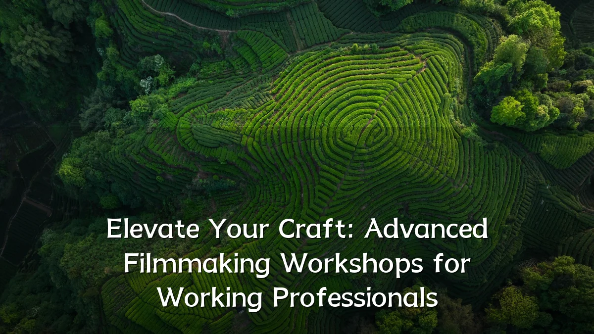 Elevate Your Craft: Advanced Filmmaking Workshops for Working Professionals