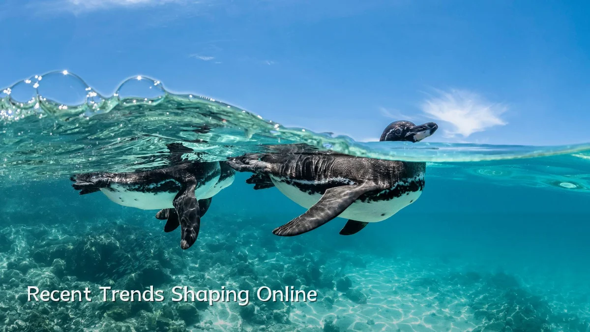 Recent Trends Shaping Online