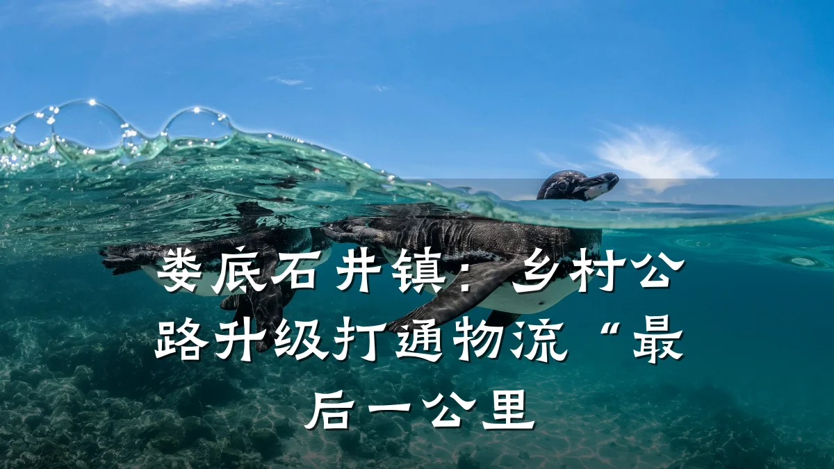 娄底石井镇：乡村公路升级打通物流“最后一公里