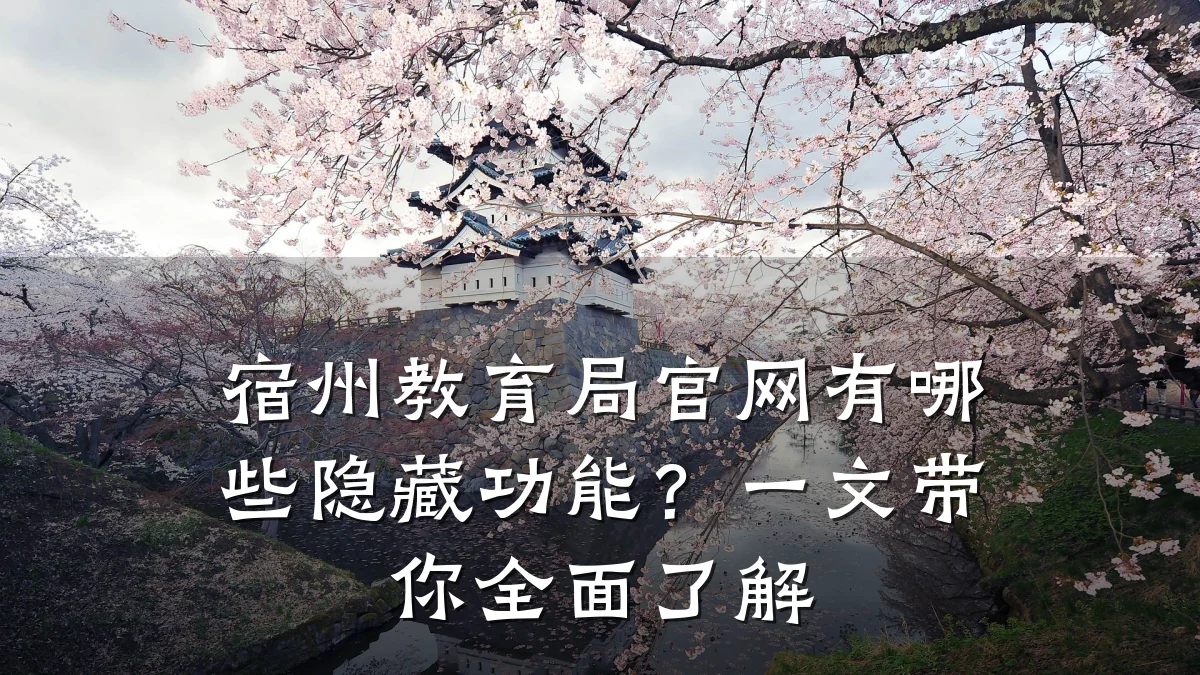 宿州教育局官网有哪些隐藏功能?一文带你全面了解