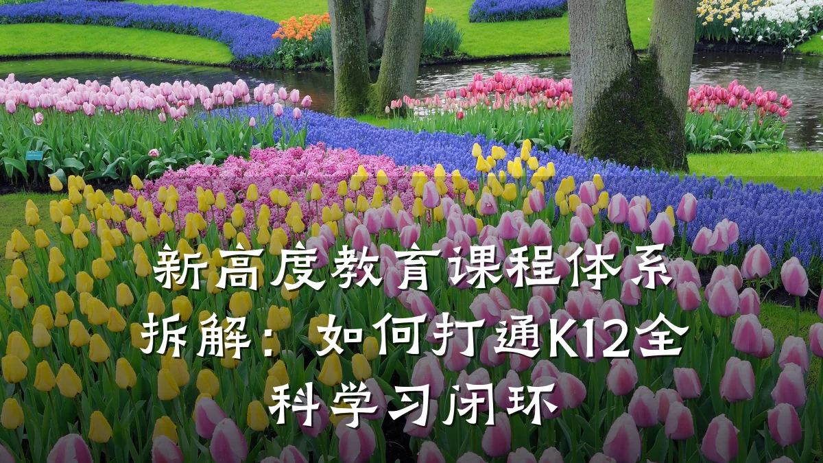 新高度教育课程体系拆解:如何打通K12全科学习闭环