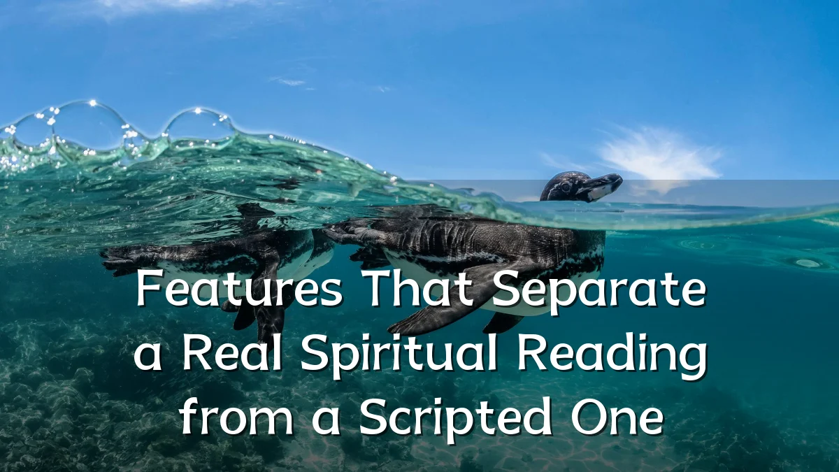 Features That Separate a Real Spiritual Reading from a Scripted One